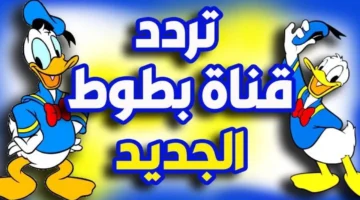 تردد قناة بطوط للأطفال 2025 على جميع الأقمار بسهولة